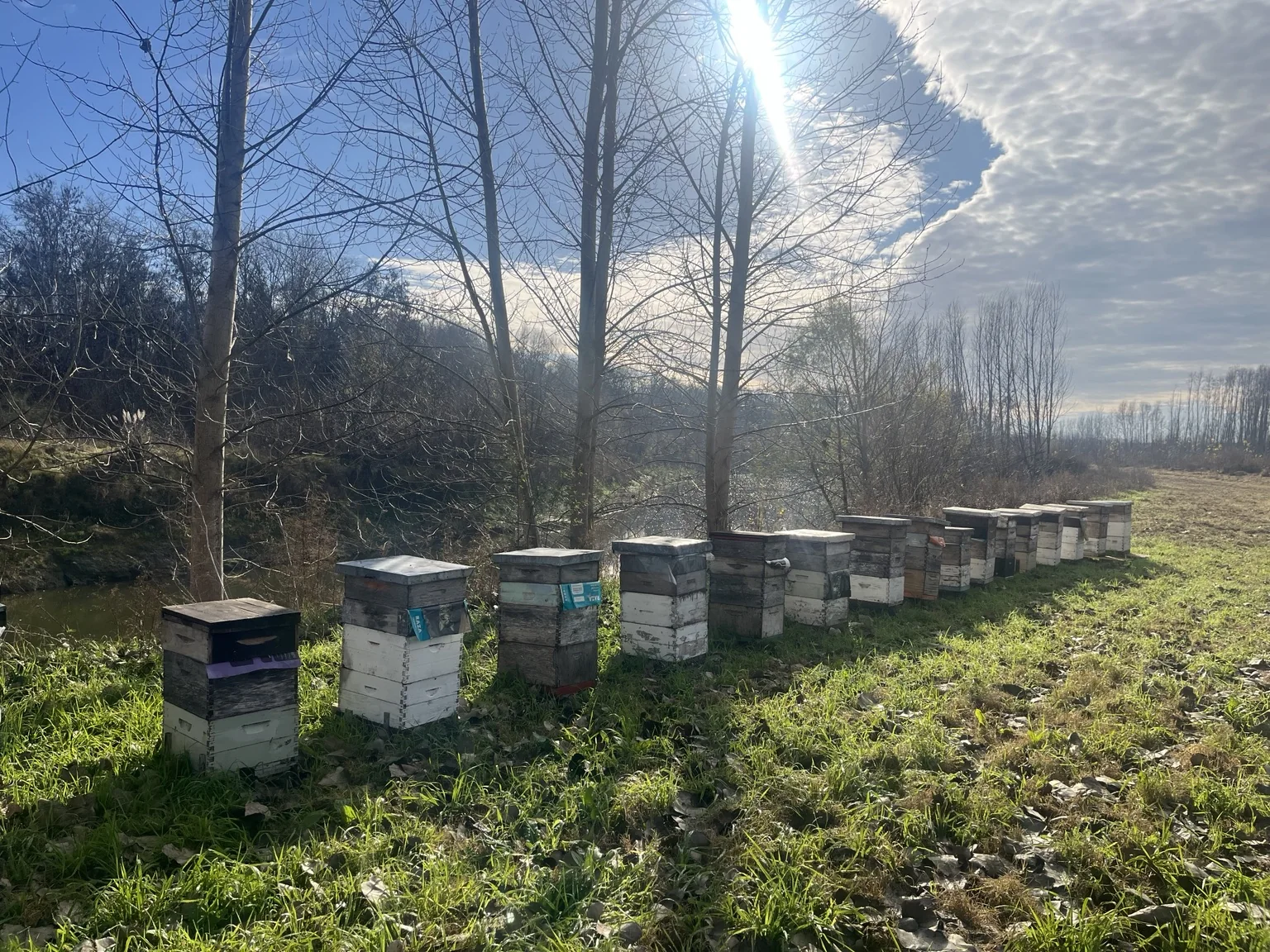 Apiario de Las Matreras en Baradero